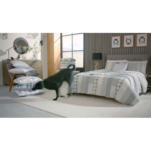 Eddie Bauer Lake House Plaid Standard Cotton 136 TC Reversible Coastal